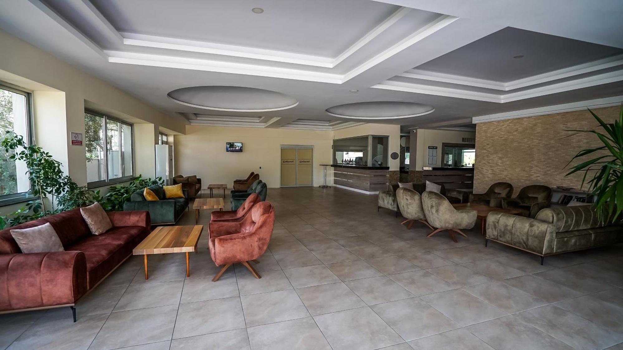 سيدي Catty Cats Garden Hotel المظهر الخارجي الصورة