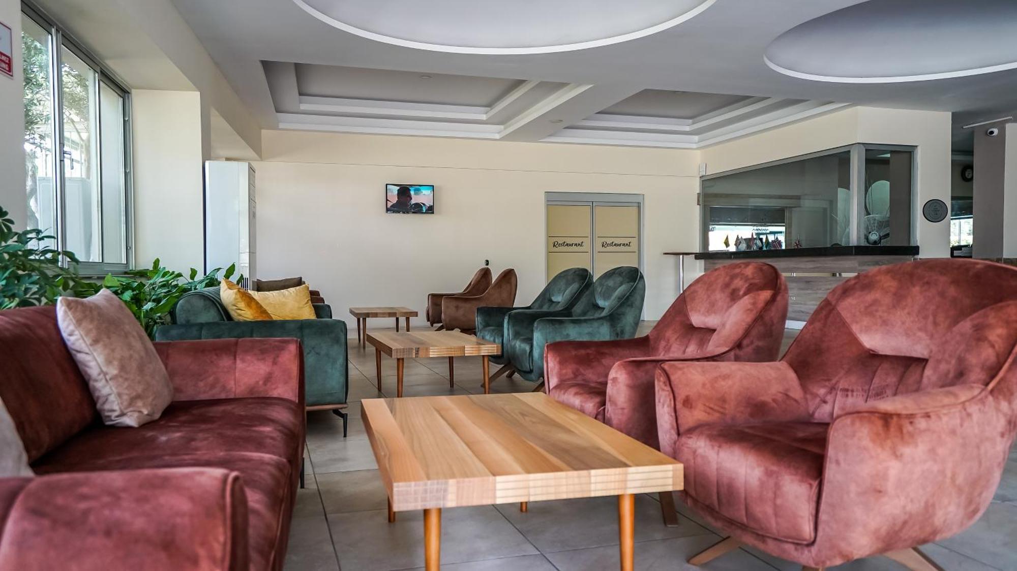 سيدي Catty Cats Garden Hotel المظهر الخارجي الصورة