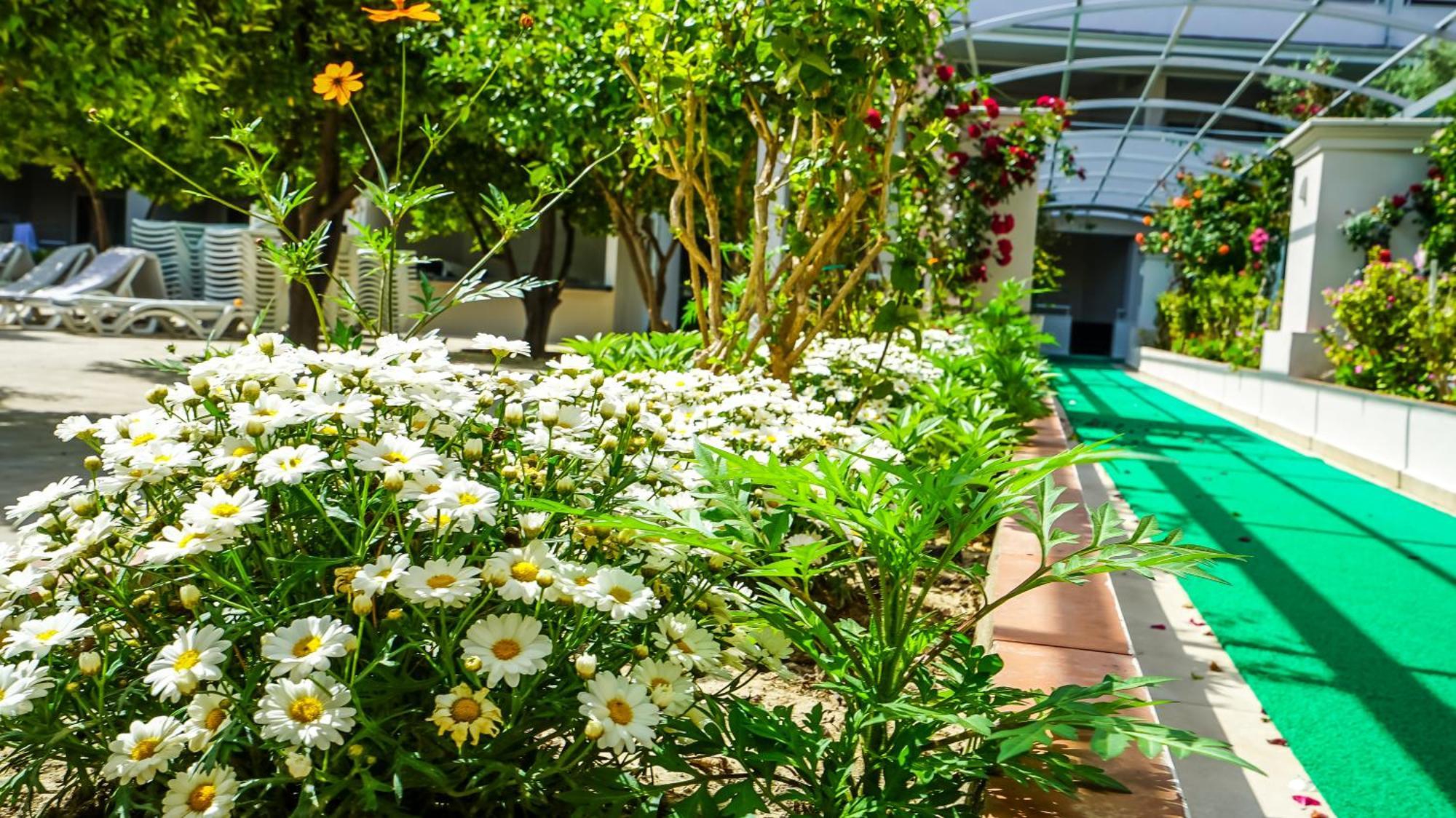 سيدي Catty Cats Garden Hotel المظهر الخارجي الصورة