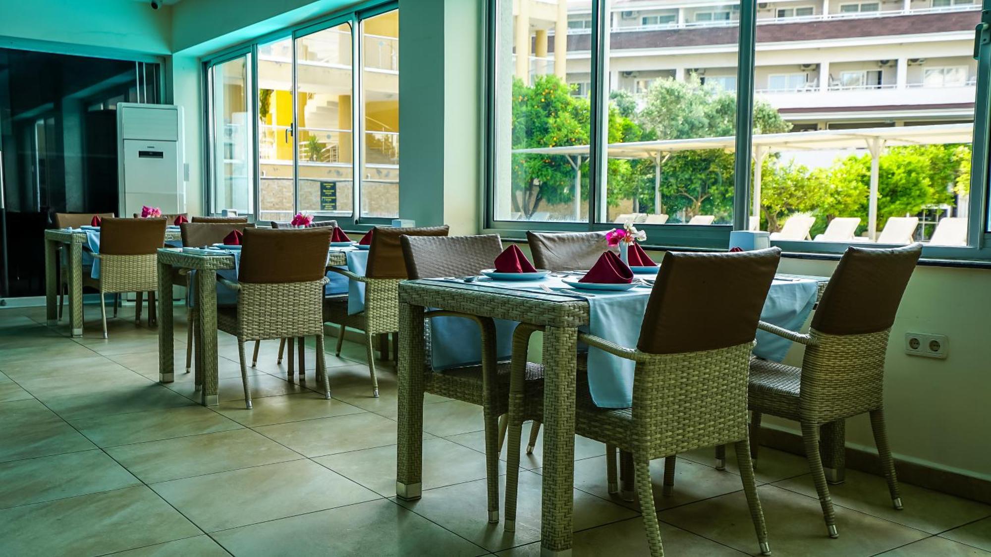 سيدي Catty Cats Garden Hotel المظهر الخارجي الصورة
